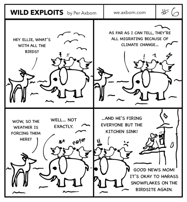 #6 Bird migration: Four panels. An impala (African antelope) speaking with an elephant. Three birds are standing on the elephant's back. The birds are visually similar to the Twitter logo. More birds are hovering in the sky above them.

Panel 1. Impala: Hey Ellie, what's with all the birds?

Panel 2. Elephant: As far as I can tell, they're all migrating because of climate change...(Above the birds' heads are symbols for exclamation mark, question mark and a lightning bolt)

Panel 3. Impala: Wow, so the weather is forcing them here?
Elephant: Well... not exactly.(Above the birds' heads are symbols indicating that the birds are cursing)

Panel 4. One bird to the other birds: And he's firing everyone but the kitchen sink!
A tree with a vulture standing on a branch and speaking on a phone is also now visible in this panel.
The vulture says: Good news mom! It's okay to harass snowflakes on the birdsite again.